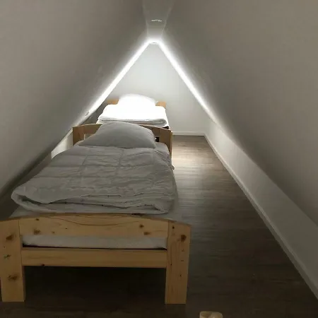 Nordseerobbe * Friedrichskoog