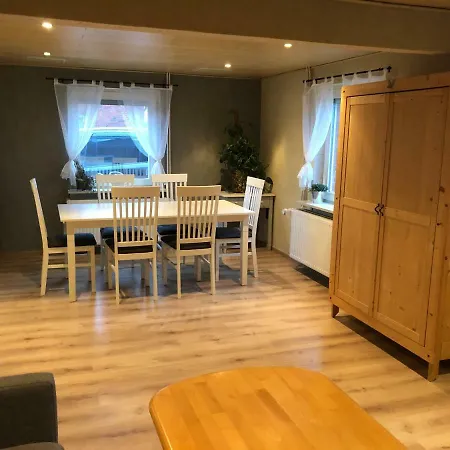 Nordseerobbe Friedrichskoog