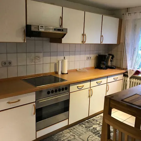 Nordseerobbe * Friedrichskoog