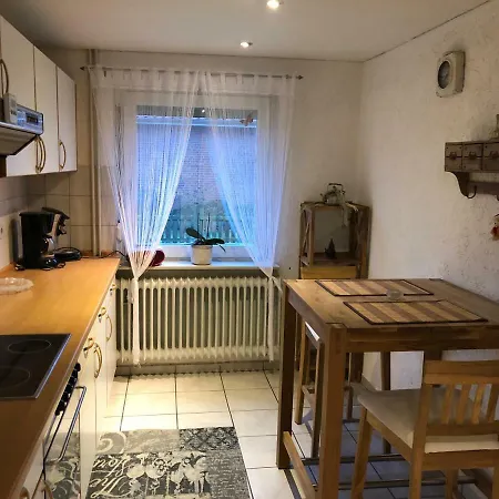 Nordseerobbe Friedrichskoog